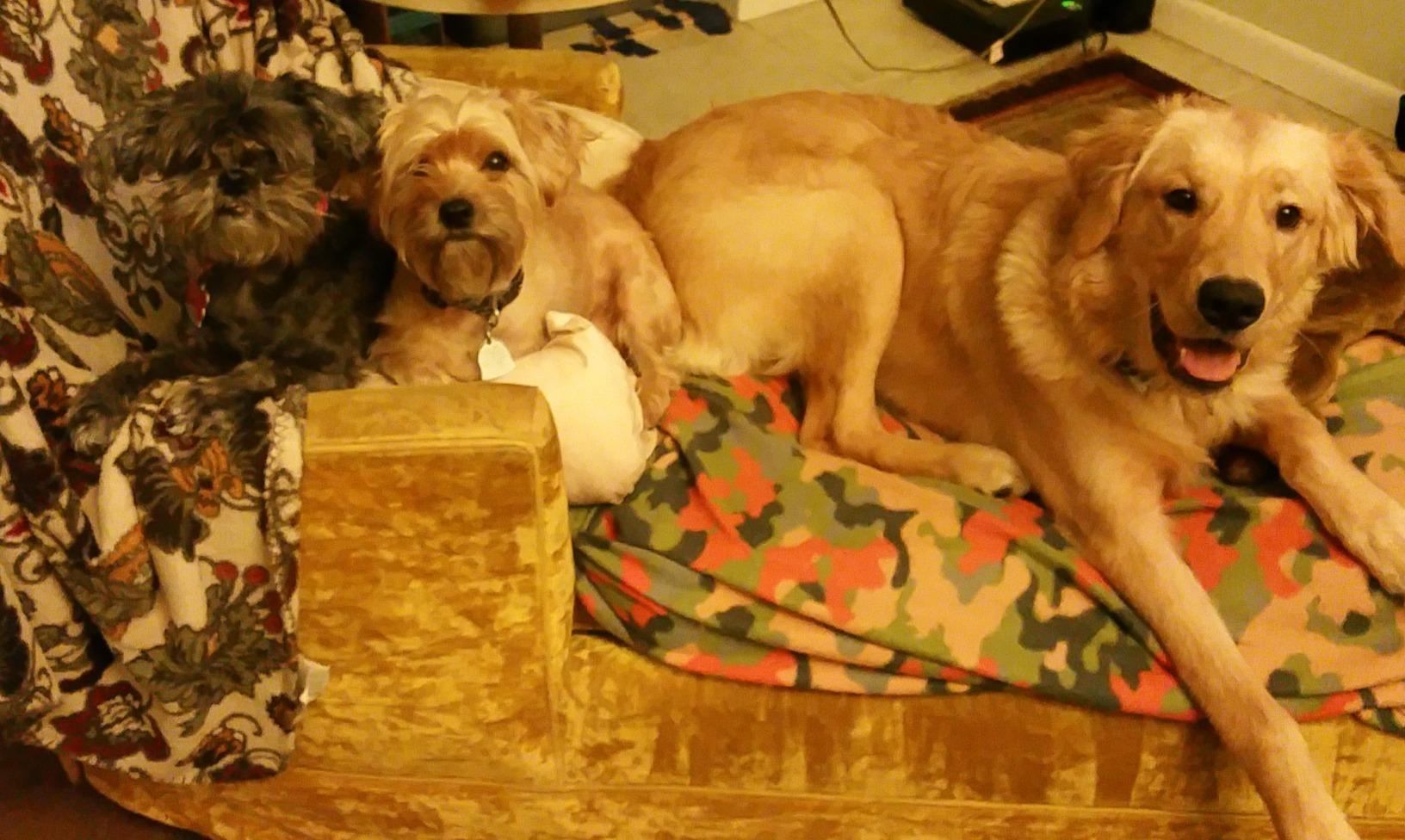 User photo 2